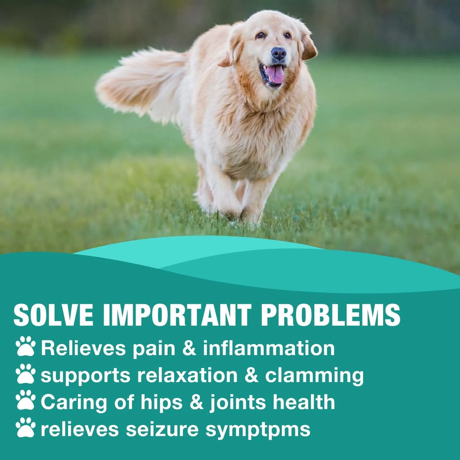 2 Pack Hemp Oil for Dogs Cats - Pure Hemp Drops for Pets Arthritis Pain Anxiety Relief Stress - Dog Herbal Supplements -Hip Joint Support Calming - Skin Health - Omega 3 6 9 Fatty Acids - Made in USA