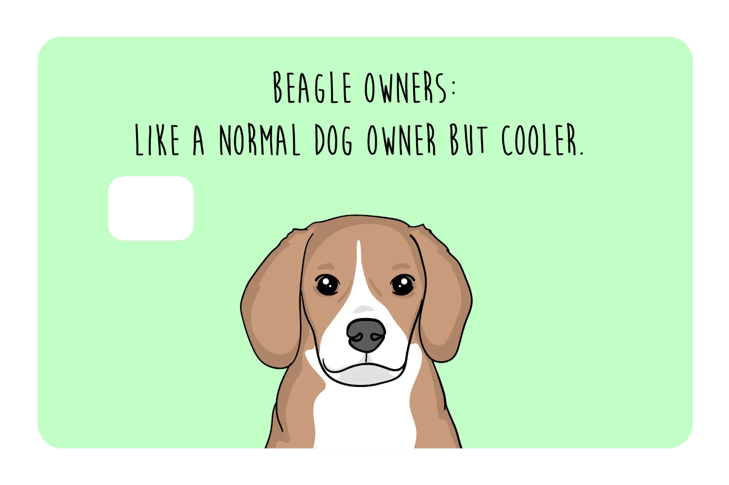 Beagle Owner