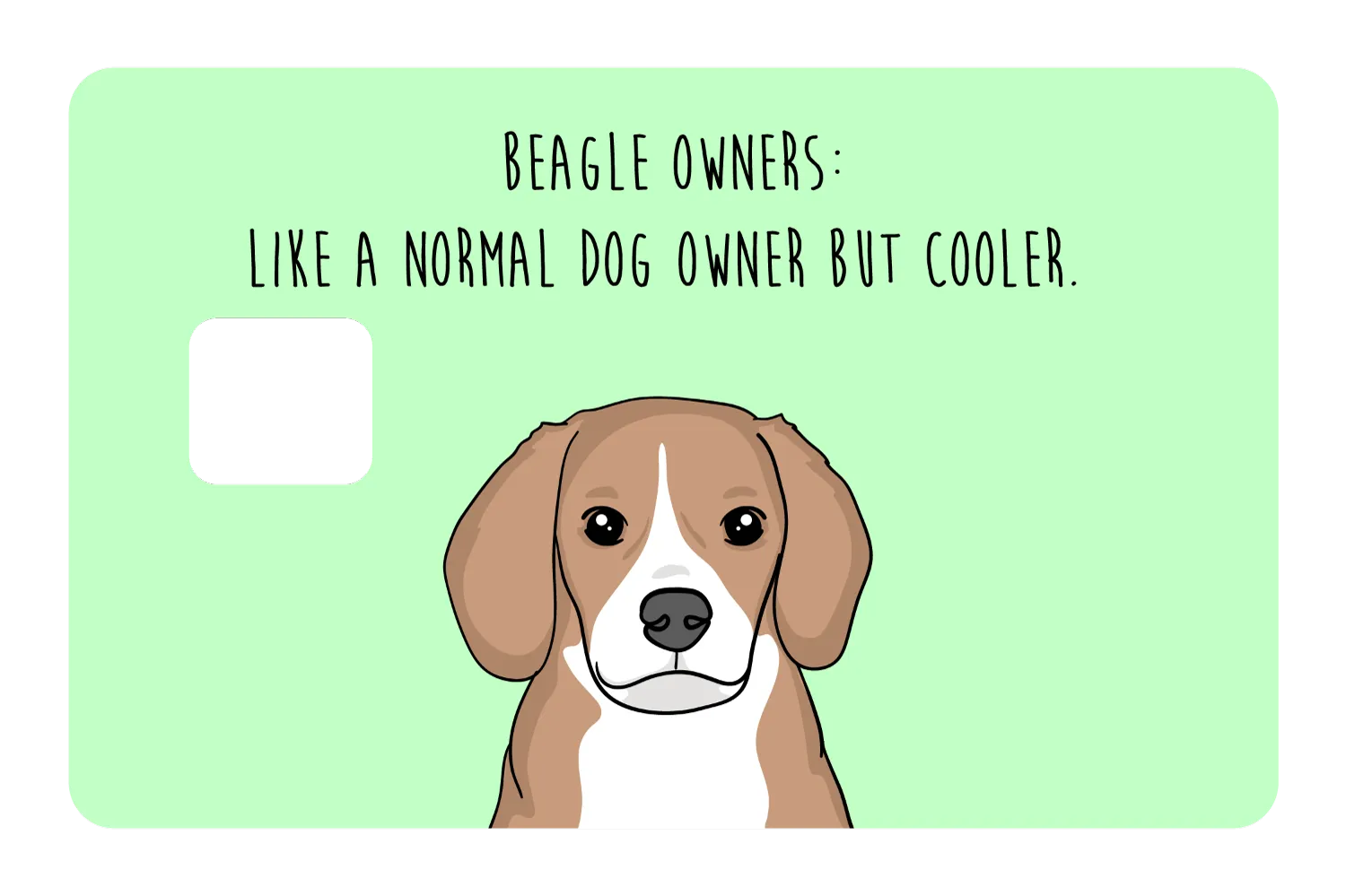 Beagle Owner