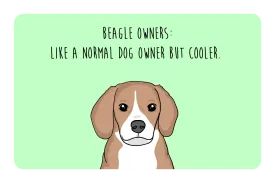Beagle Owner
