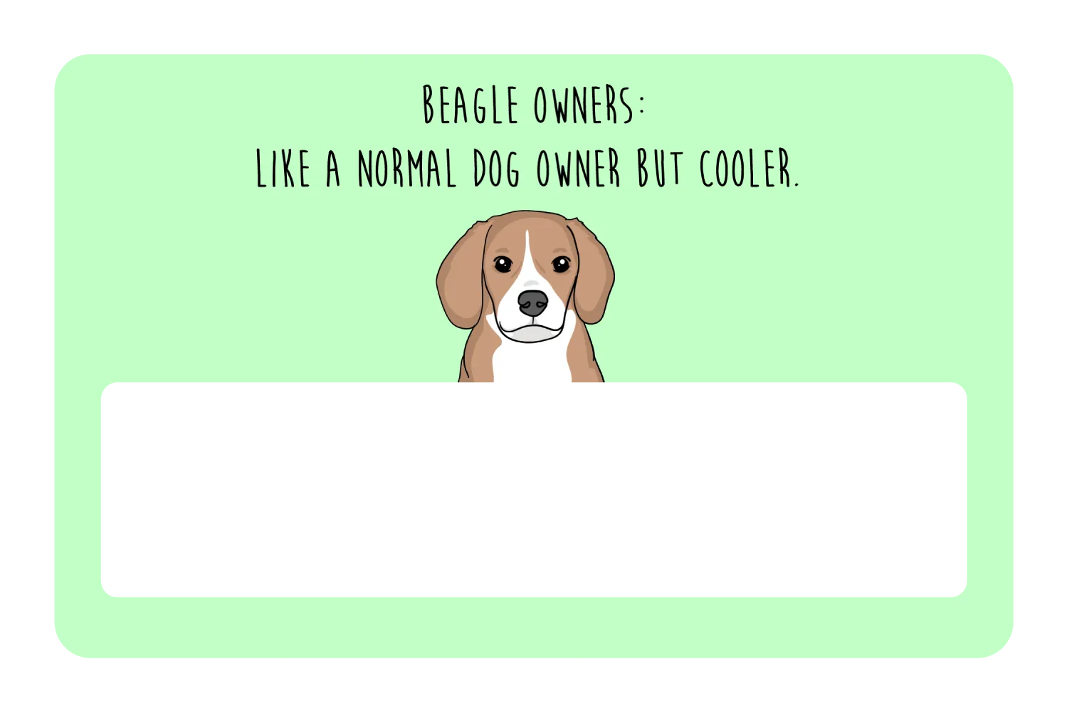 Beagle Owner