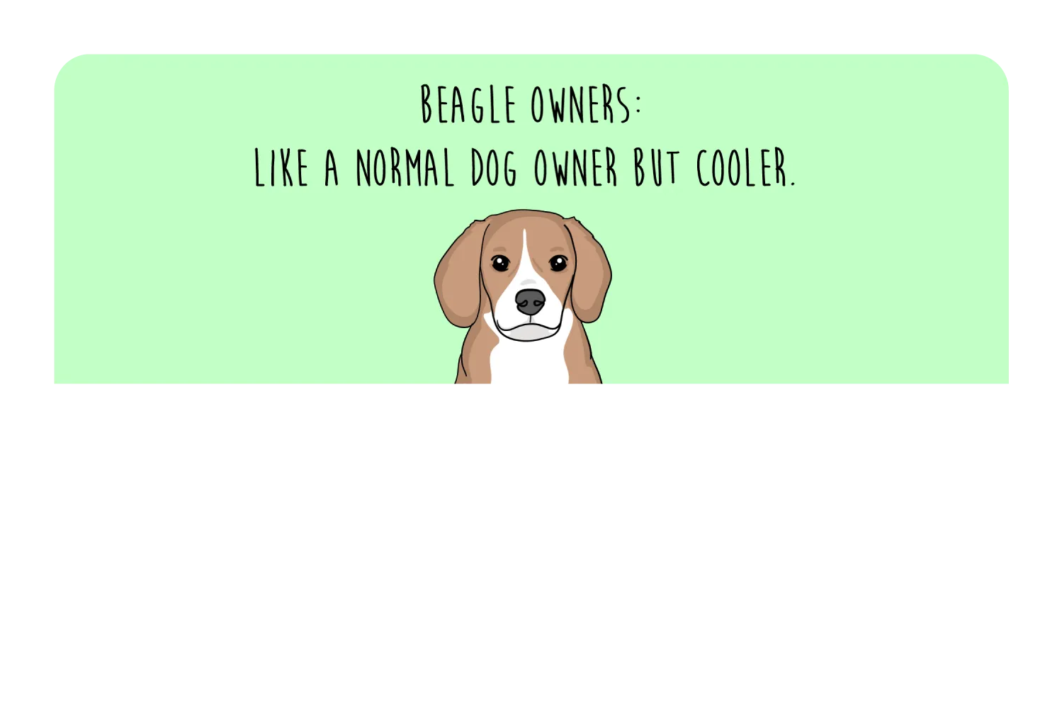 Beagle Owner