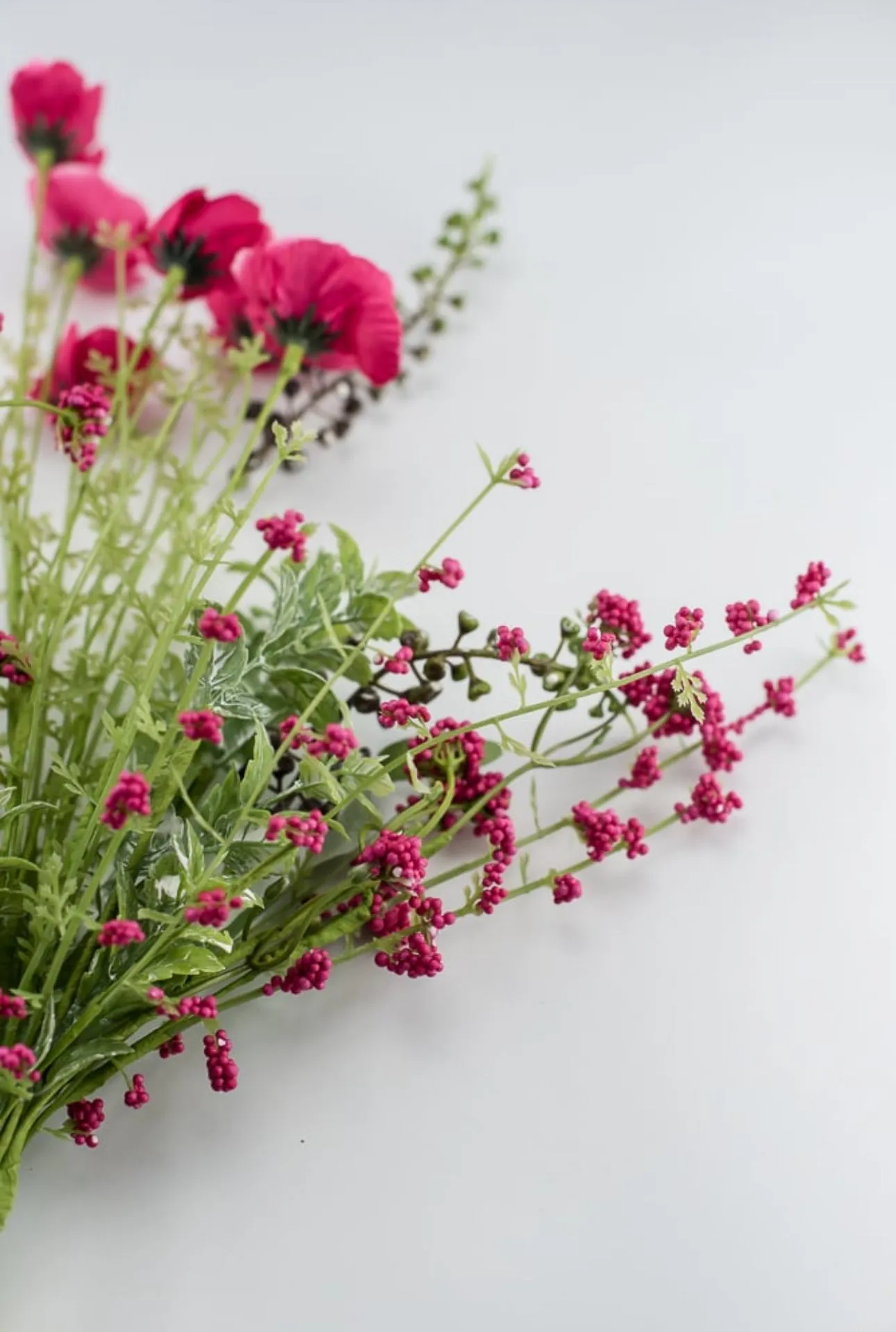 Beauty Pink poppy spray
