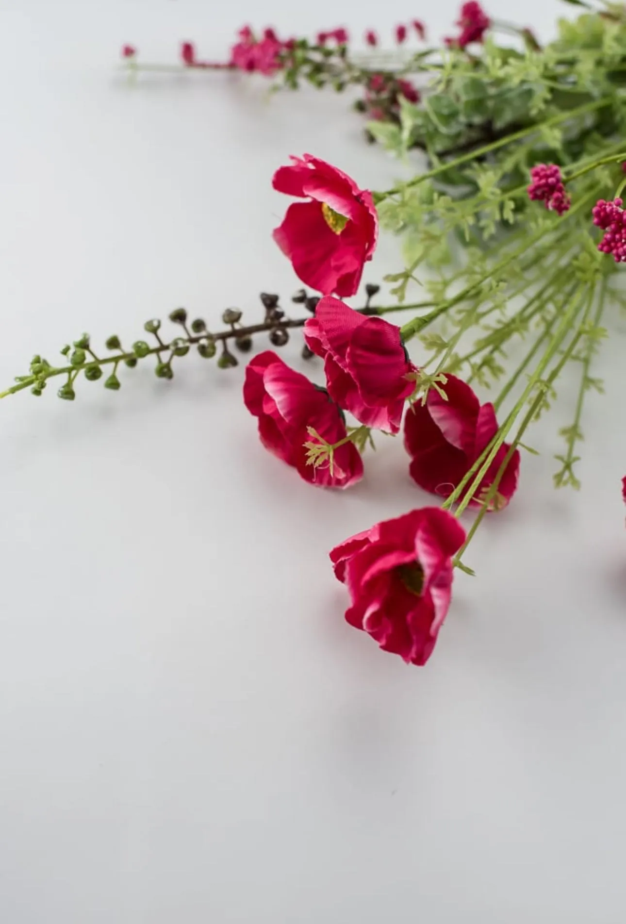 Beauty Pink poppy spray