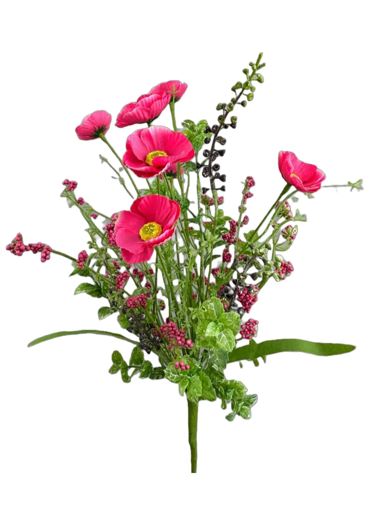 Beauty Pink poppy spray