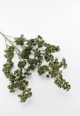 Berry seeds spray - moss green