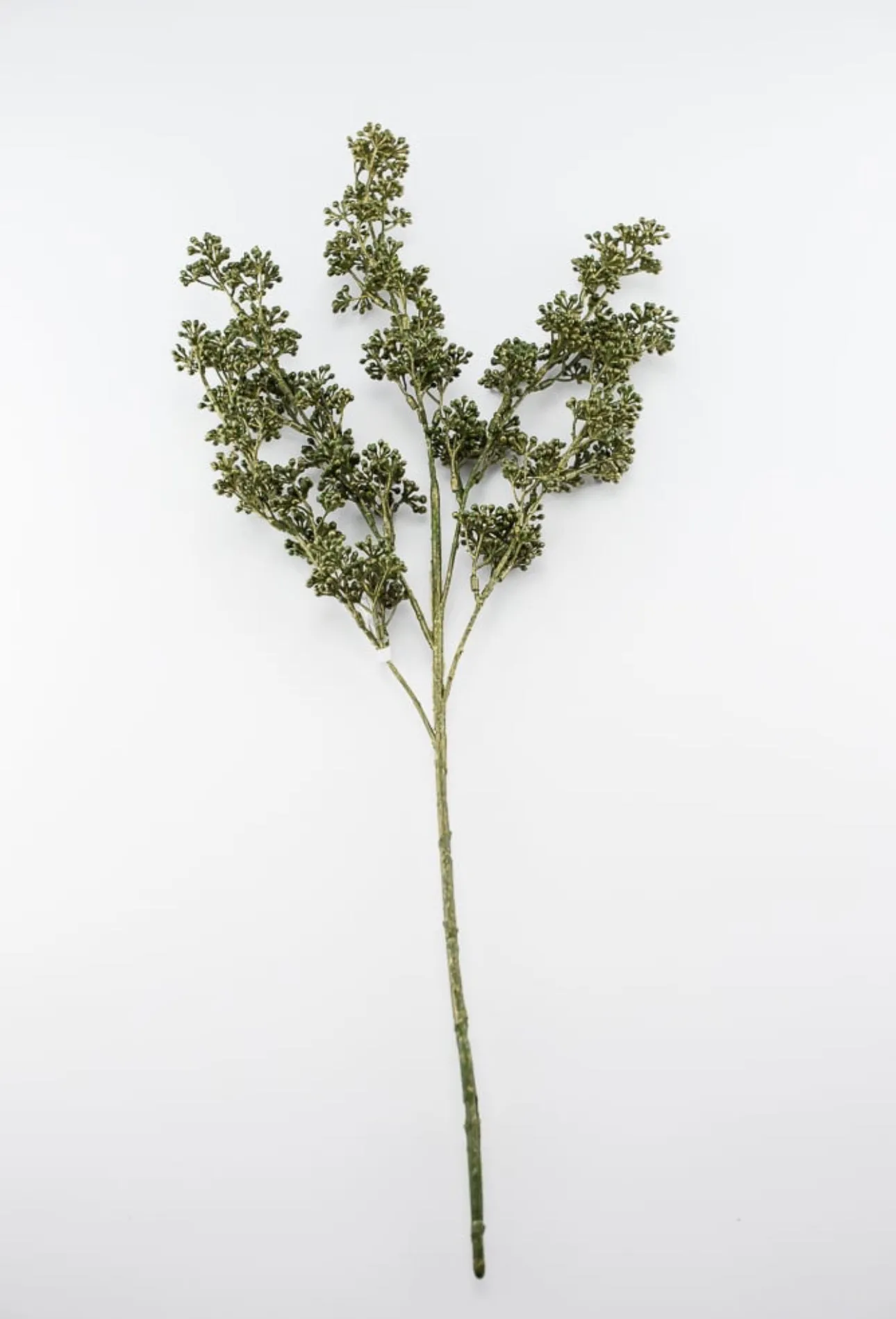 Berry seeds spray - moss green