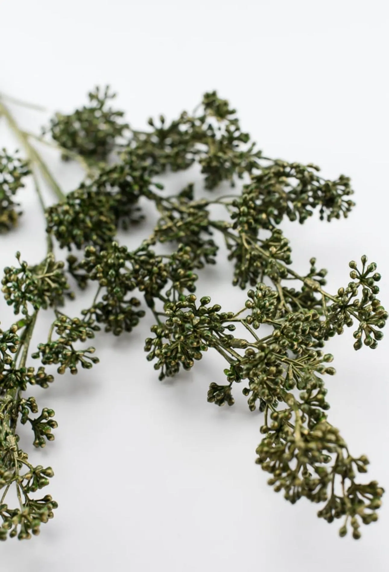 Berry seeds spray - moss green