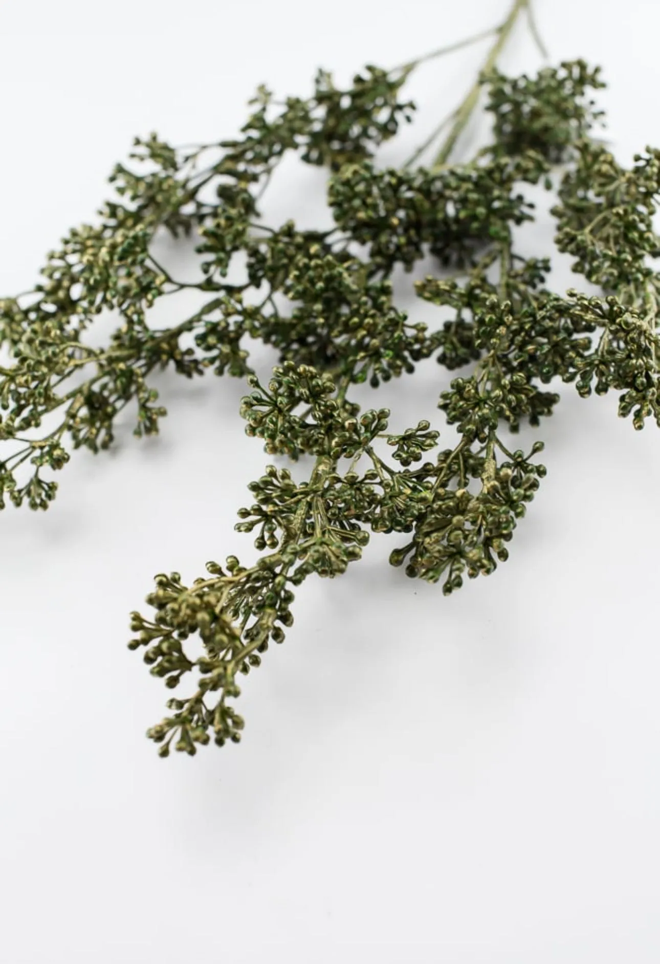 Berry seeds spray - moss green