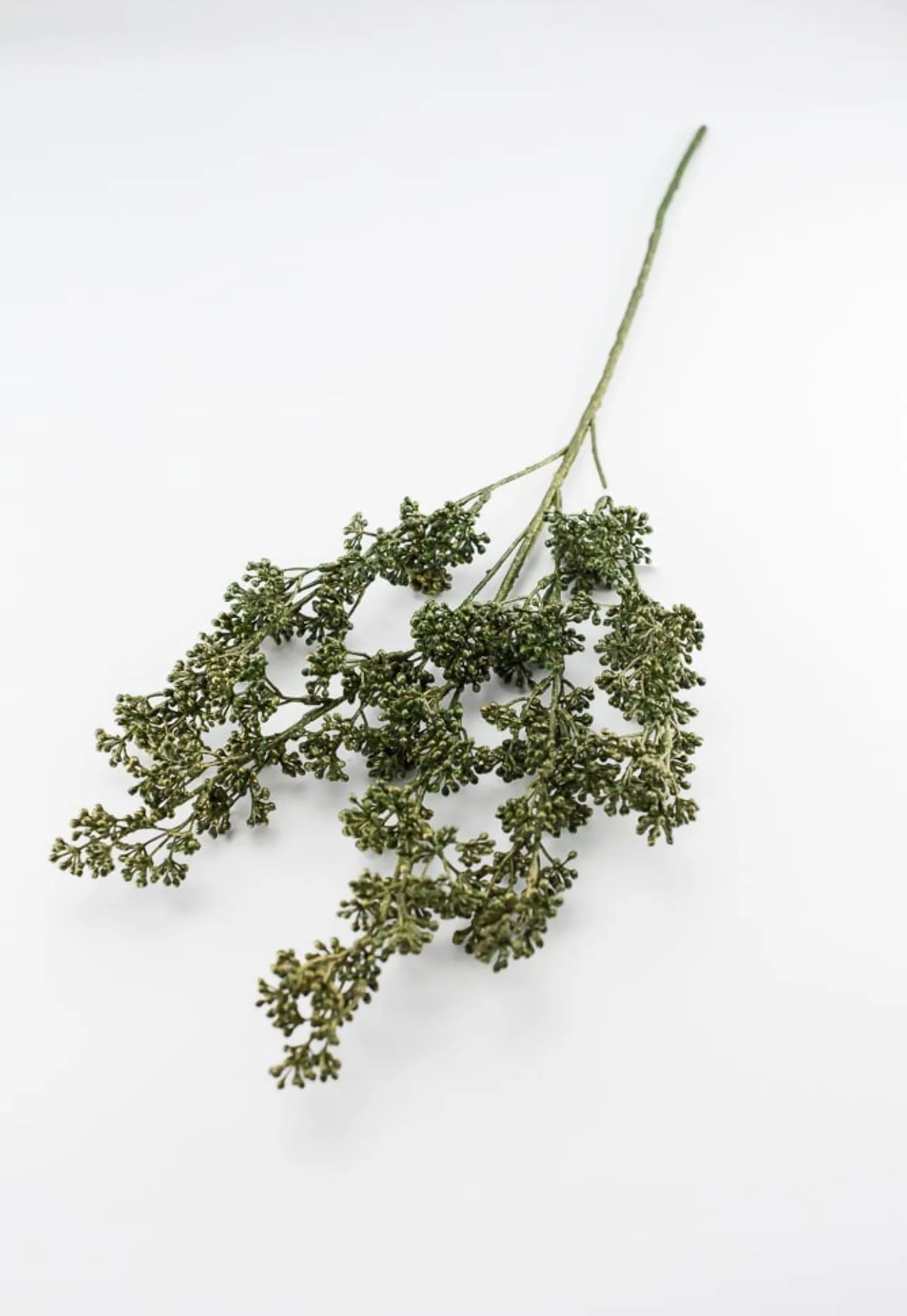 Berry seeds spray - moss green