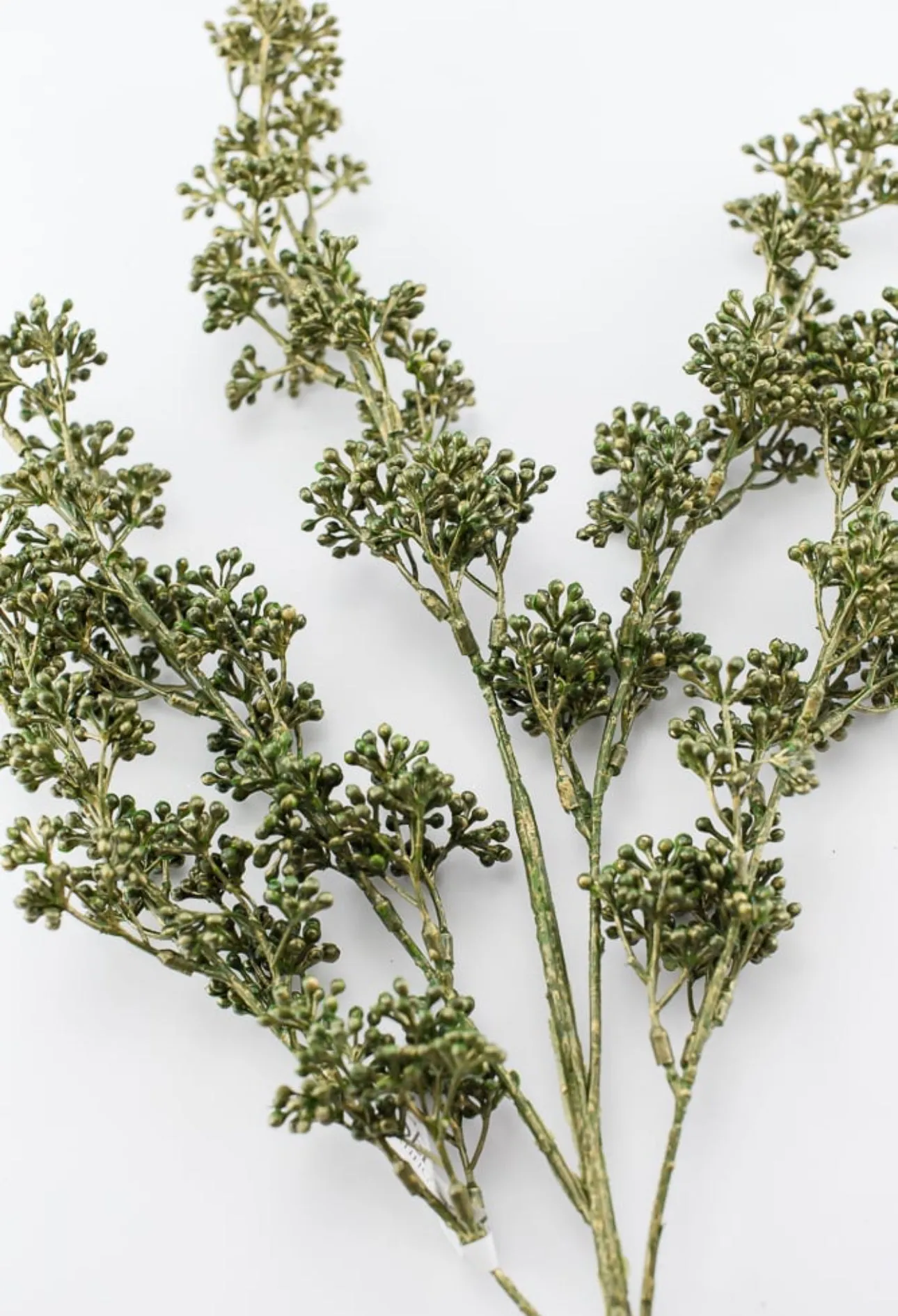 Berry seeds spray - moss green