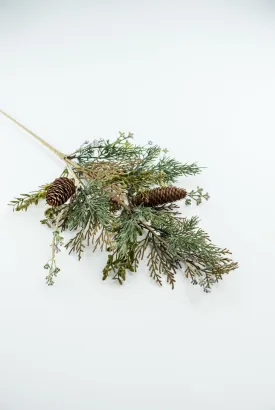 Cedar pinecone spray