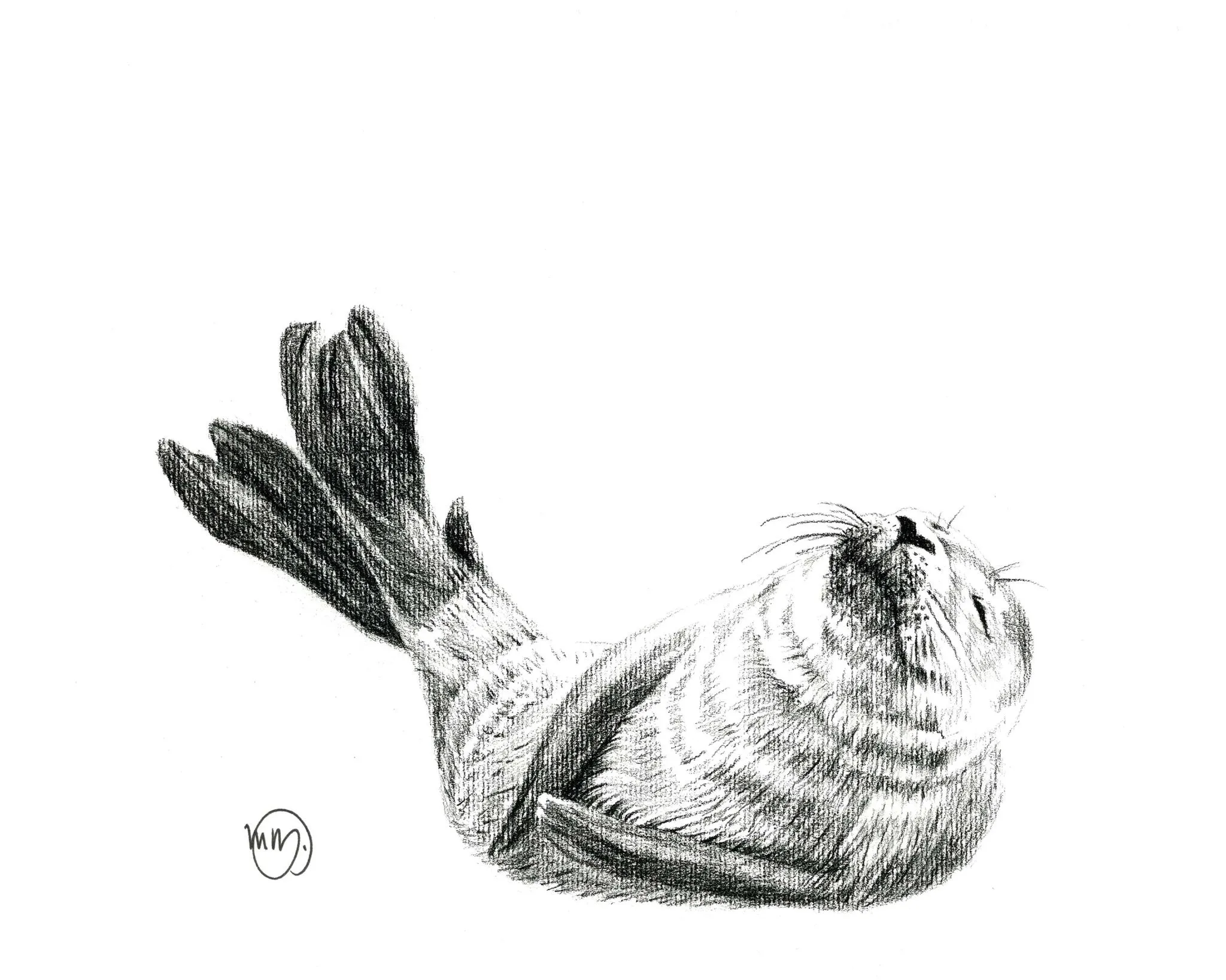 Cute Baby Seal Greeting Card