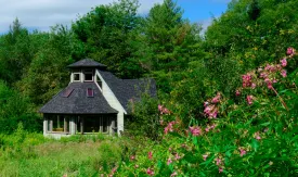 Donate to the Herbal Classroom