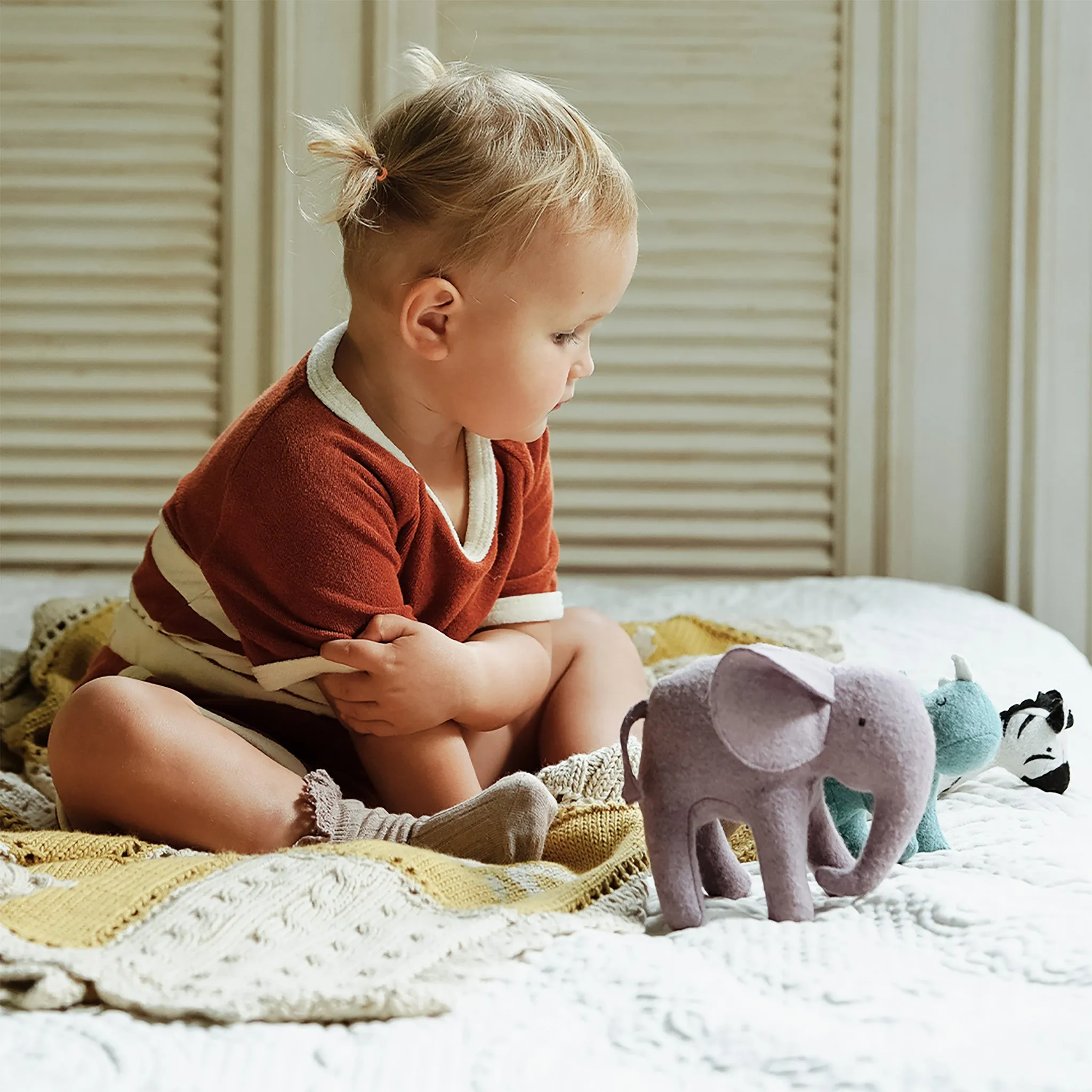 Holdie Set - Safari Animals
