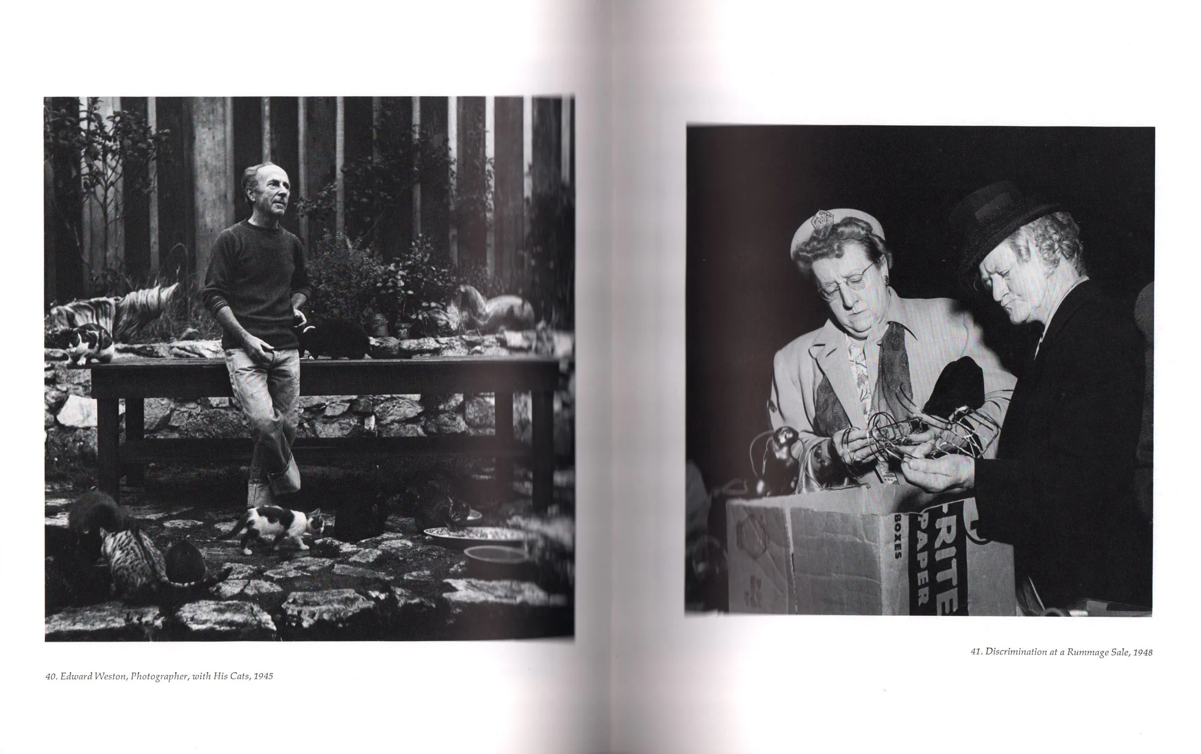 Imogen Cunningham: Photographs [1988]