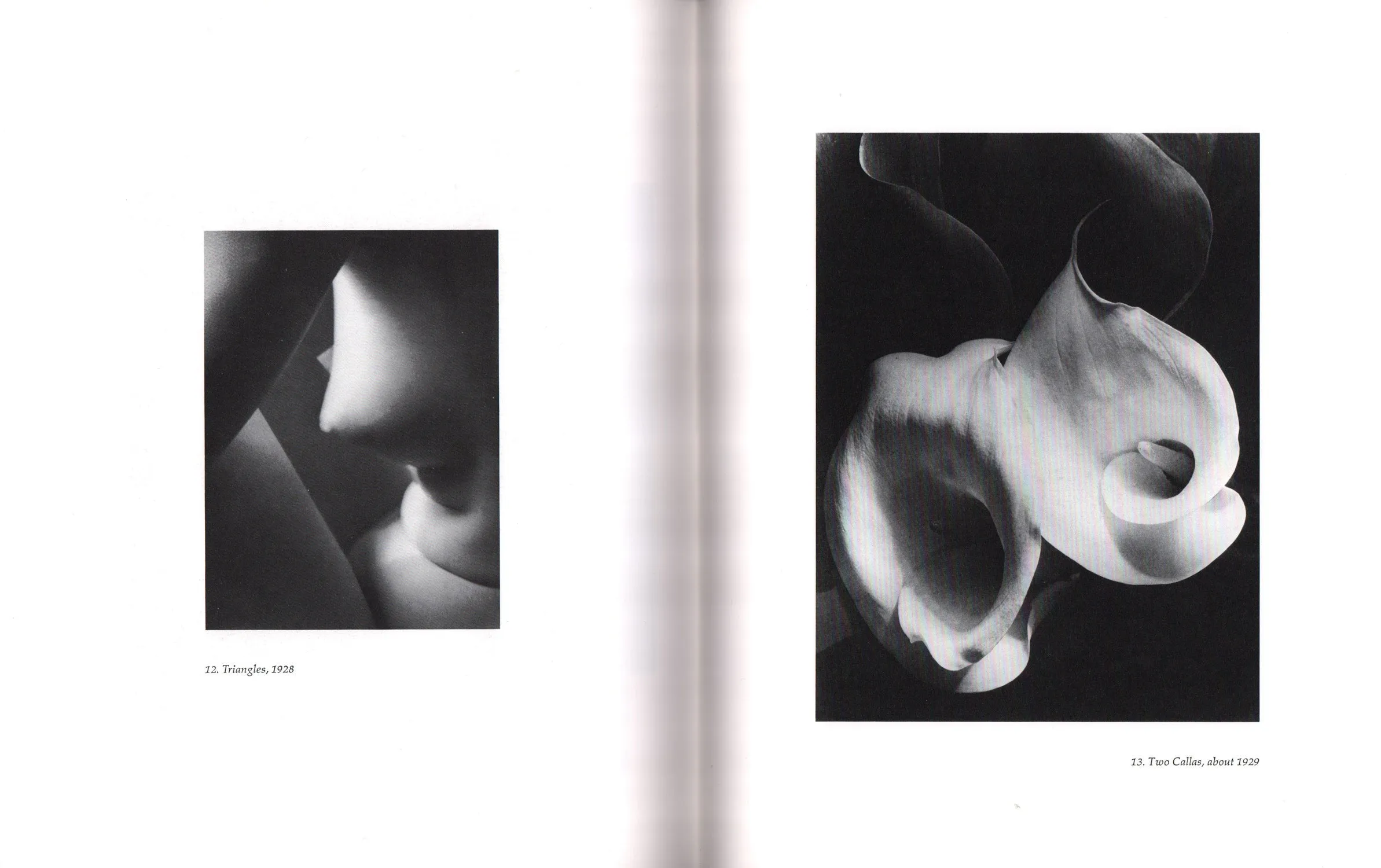 Imogen Cunningham: Photographs [1988]