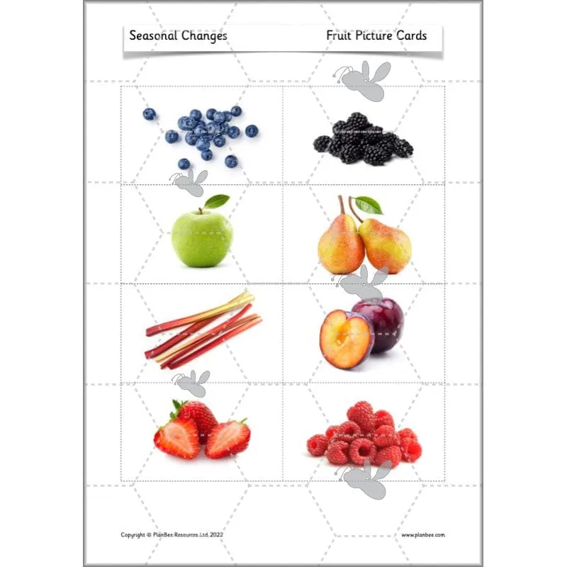 Seasonal Changes