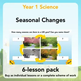 Seasonal Changes