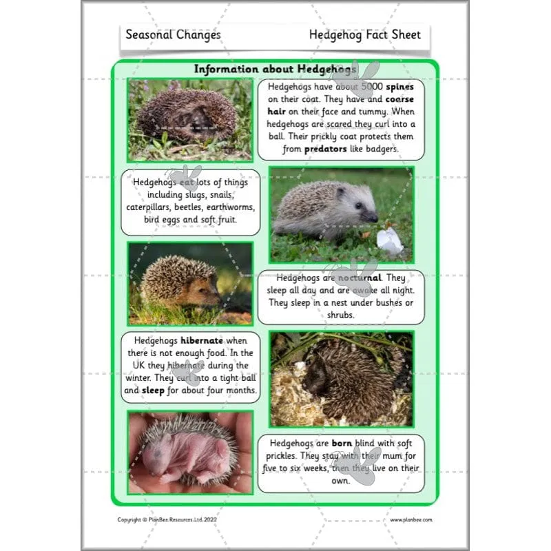 Seasonal Changes