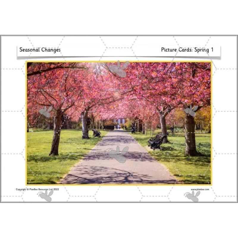 Seasonal Changes