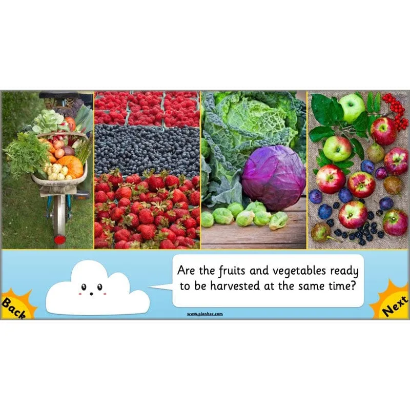 Seasonal Changes