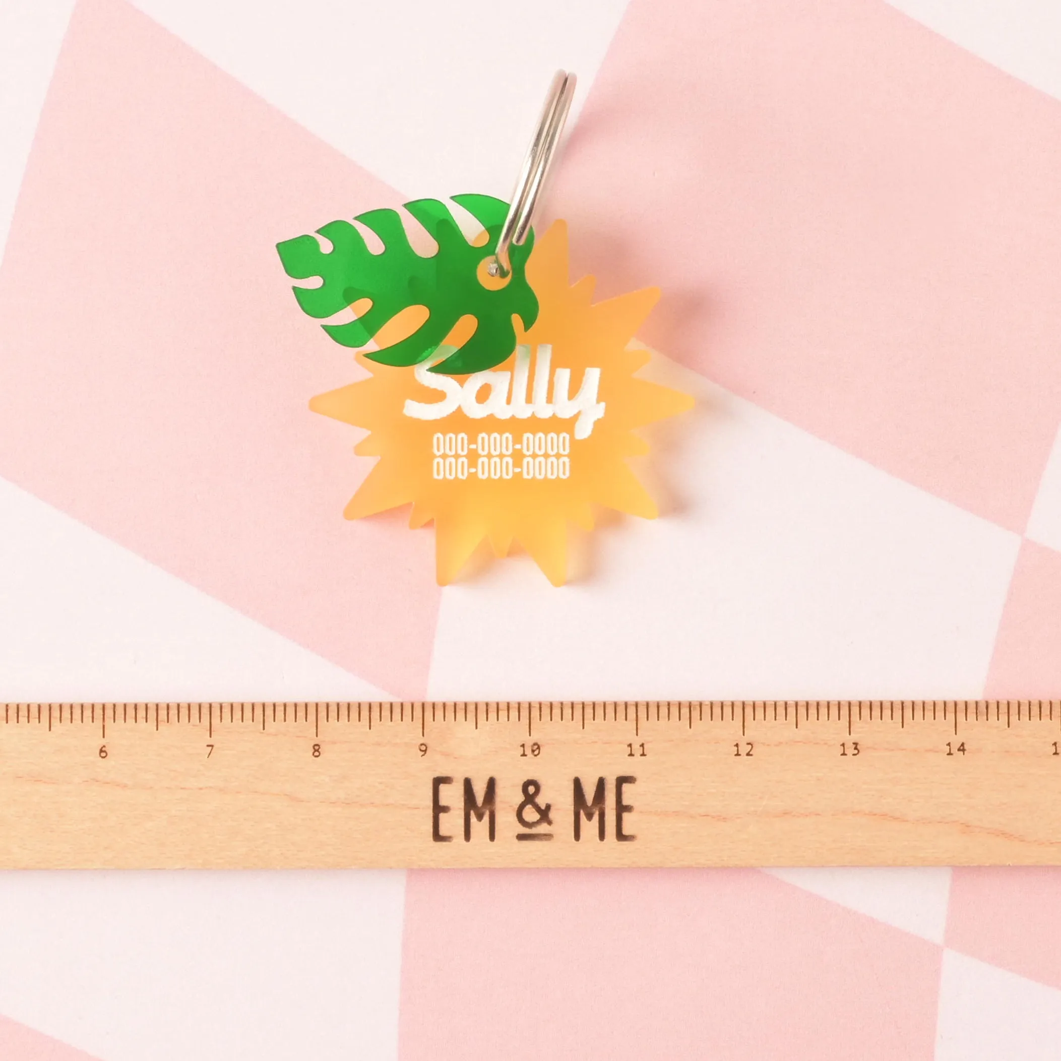 Sunshine, Sun Personalized Pet Tag