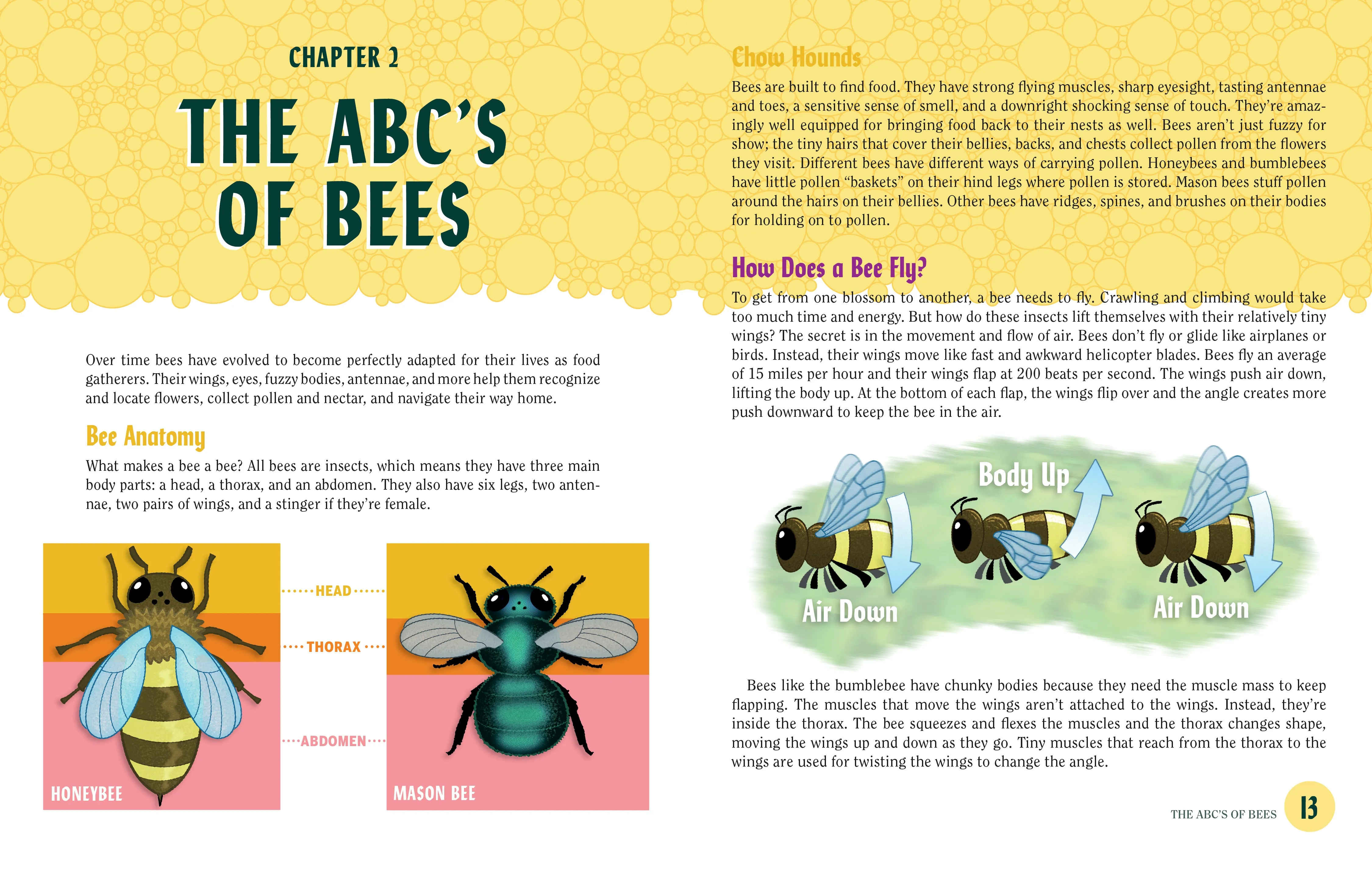 Turn This Book Into a Beehive